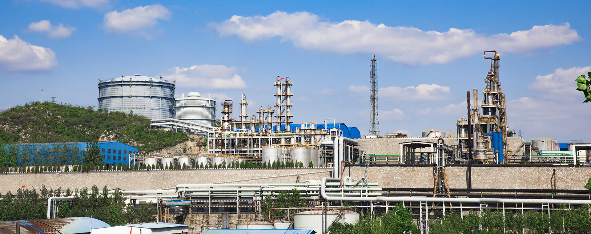 漂亮今年会官网