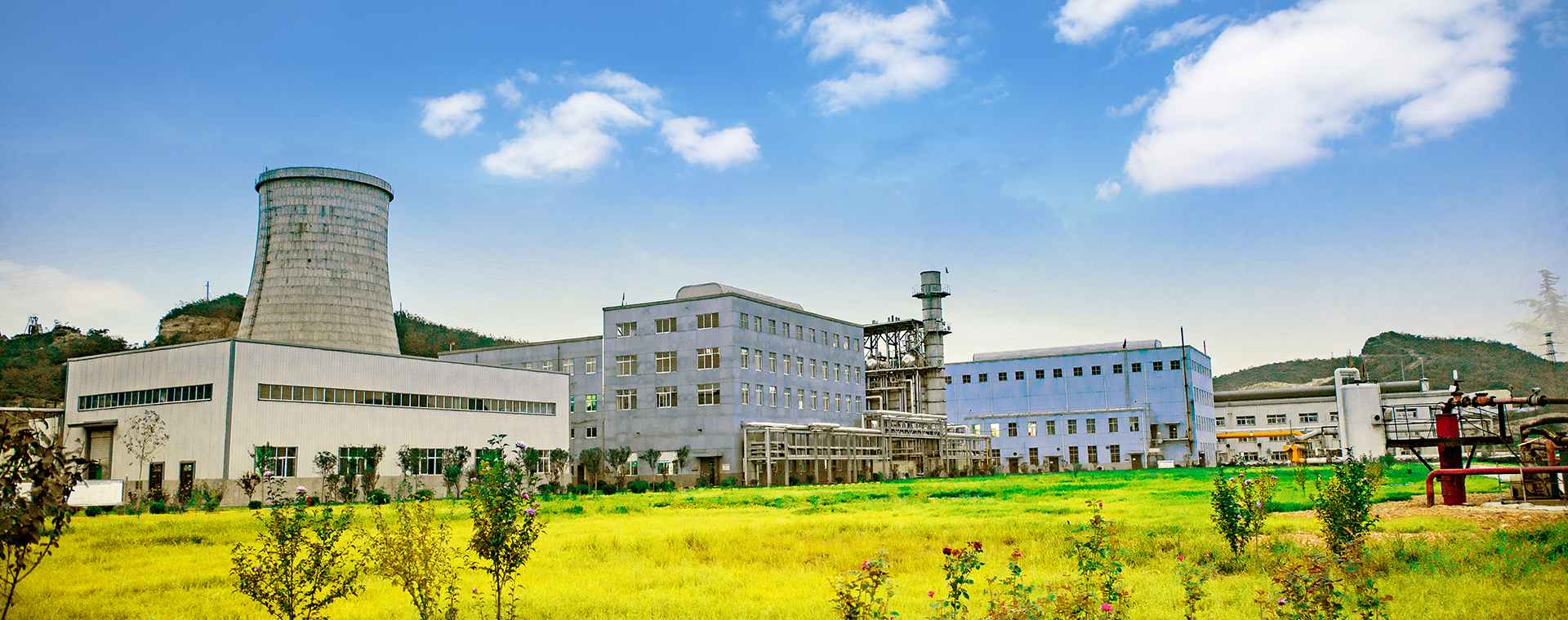 漂亮今年会官网